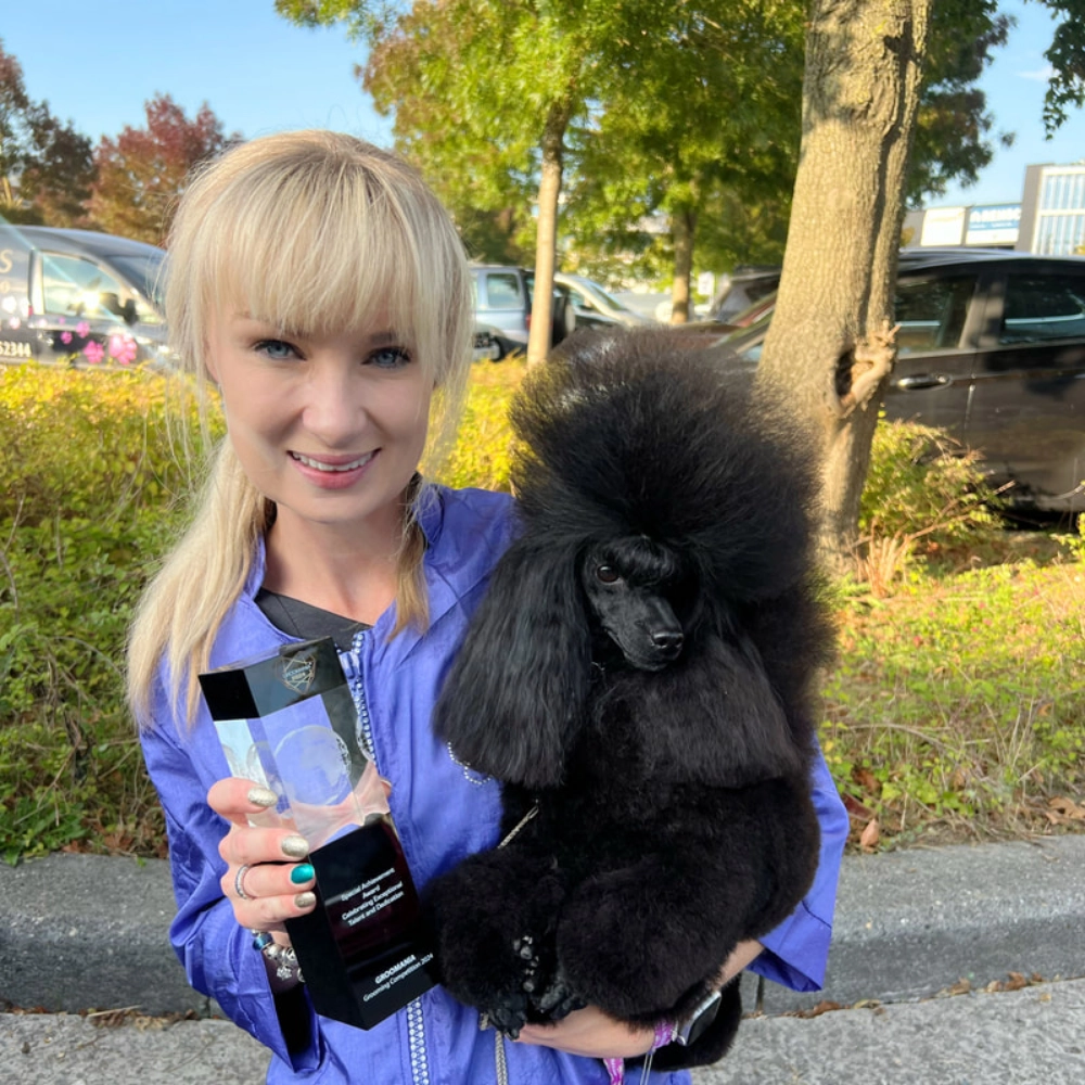 Groomania Belgium - Award of Merit - Poodle class