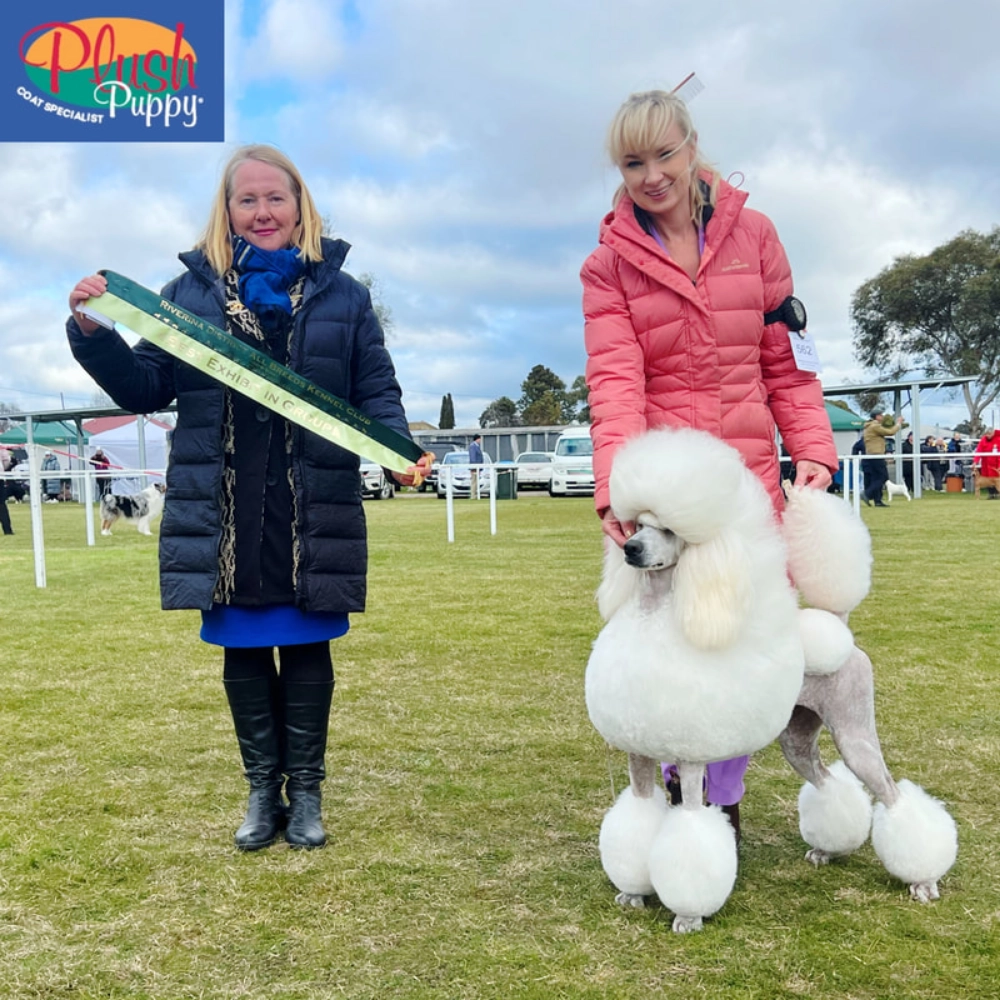 elite-grooming-academy-image-achivement-image-2