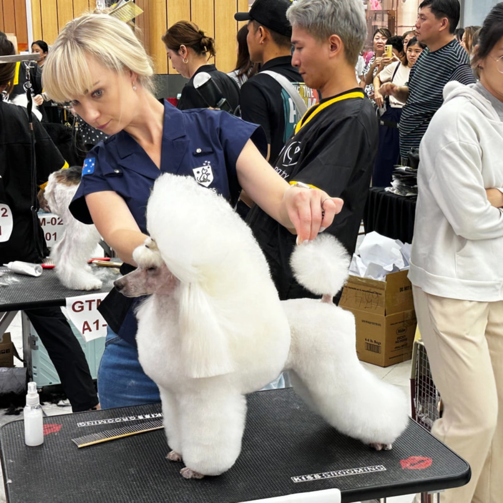 elite-grooming-academy-image-achivement-image-3