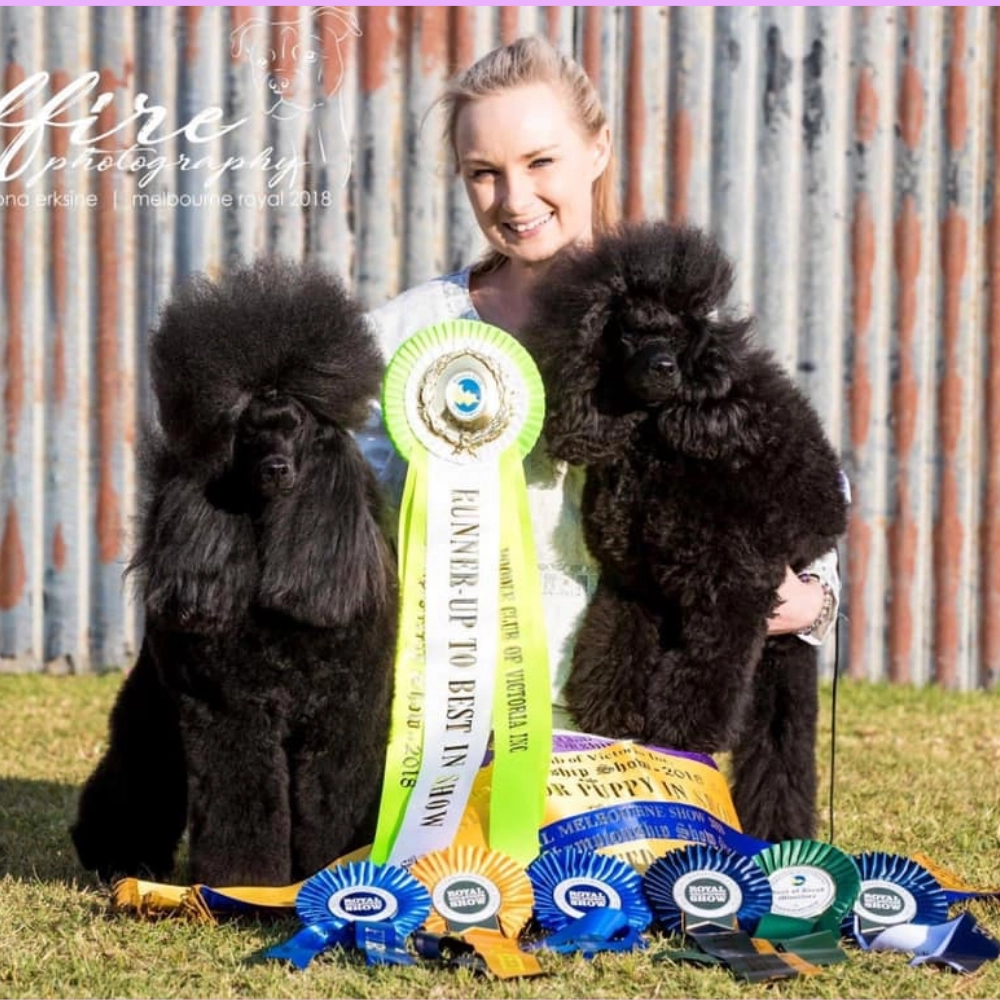 elite-grooming-academy-image-achivement-image-5