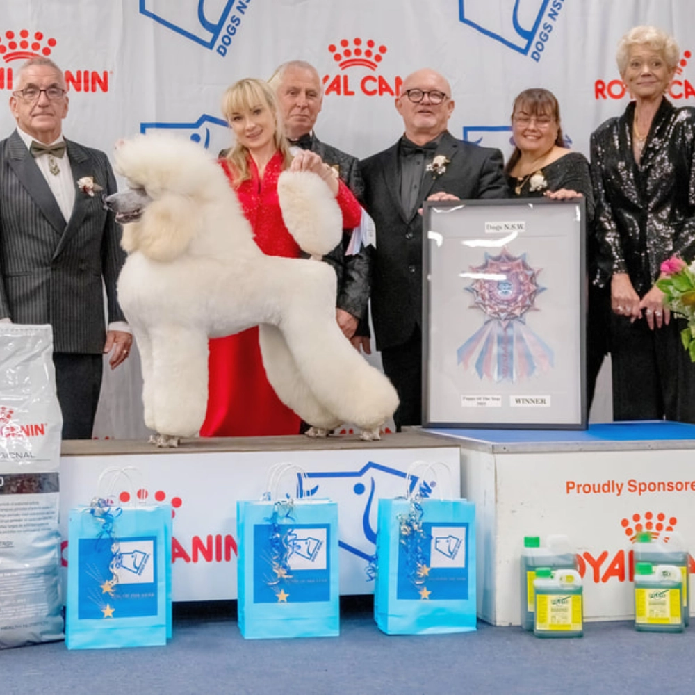 elite-grooming-academy-image-achivement-image-6