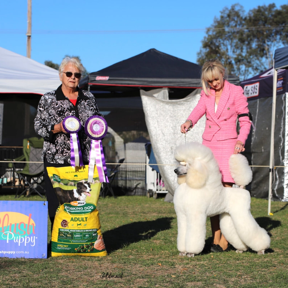 elite-grooming-academy-image-achivement-image-8