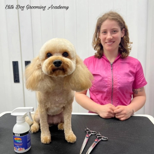 elite-grooming-academy-image-slider-courses-1