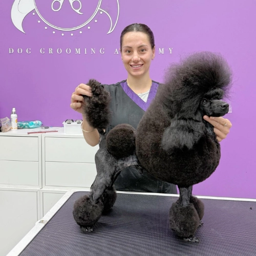 elite-grooming-academy-image-slider-courses-10