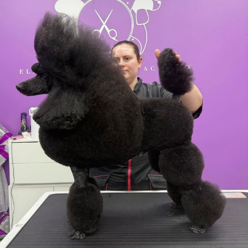 elite-grooming-academy-image-slider-courses-11