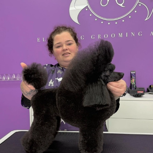 elite-grooming-academy-image-slider-courses-12