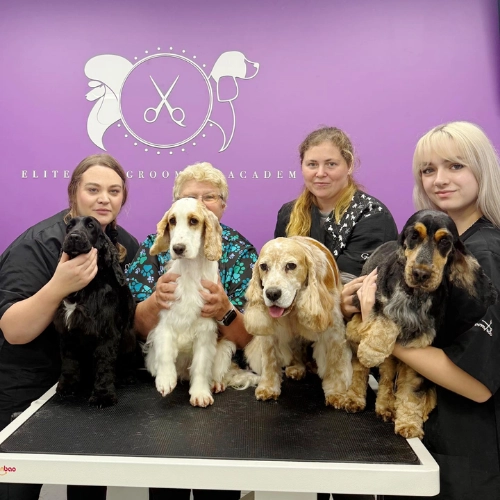 elite-grooming-academy-image-slider-courses-2