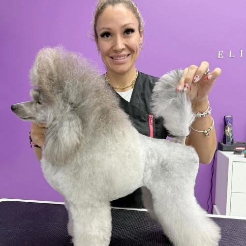 elite-grooming-academy-image-slider-courses-3