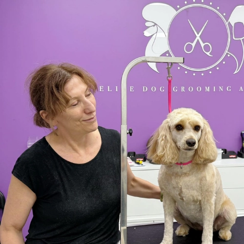 elite-grooming-academy-image-slider-courses-5